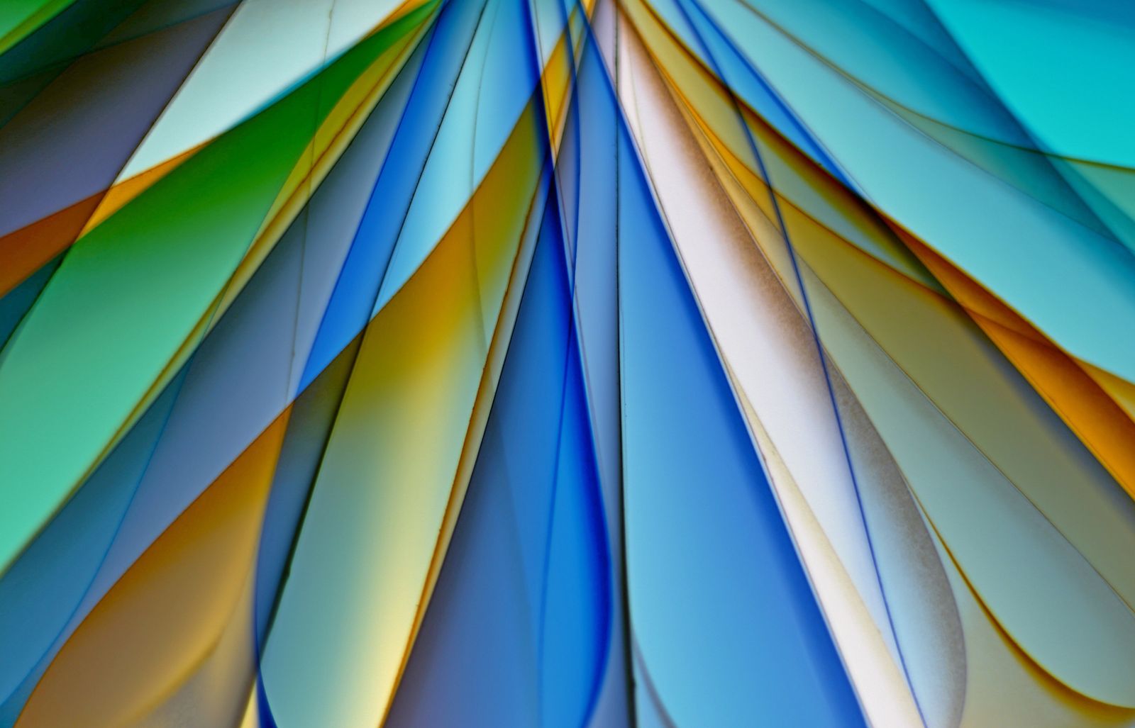 A distinctive creative visual composition