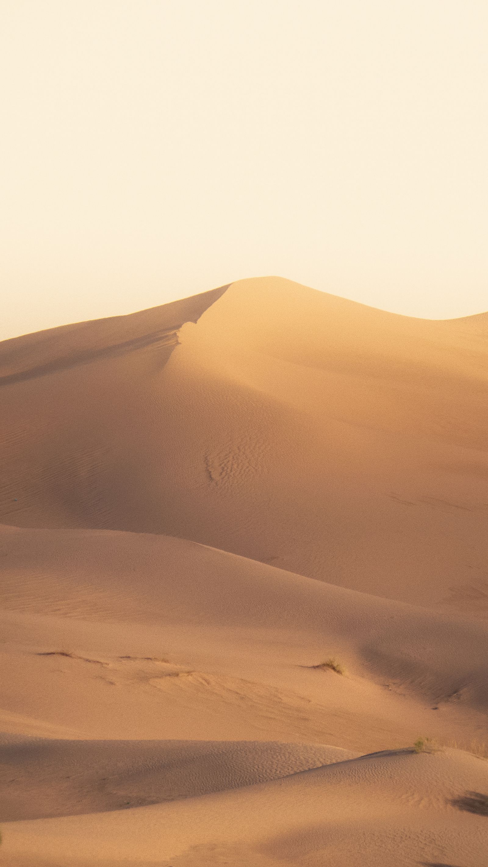 Golden sand dunes shaped by desert wind