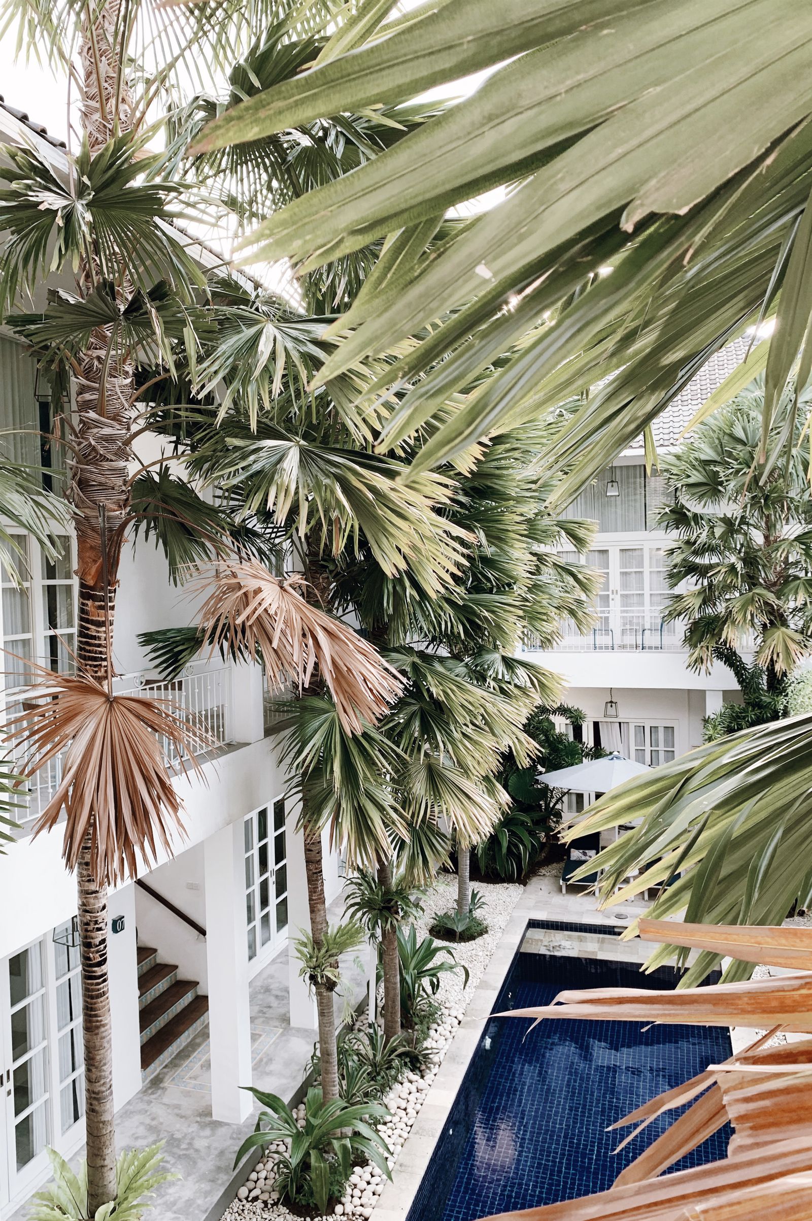 Palm-lined resort terrace and pool